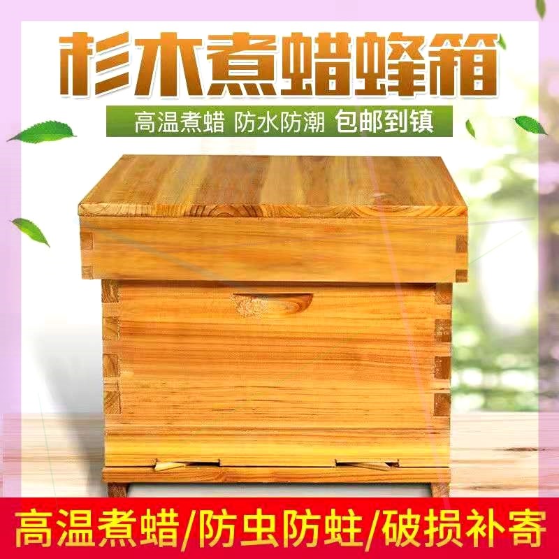 巢框中蜂巢础框成品带框全套蜂z巢蜂蜡意蜂巢脾蜜蜂箱养蜂工具防