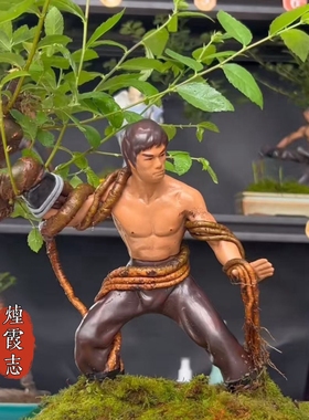 酒店阳台李小龙鲁智深人物创意盆景摆件微景观真绿植造景功夫和尚