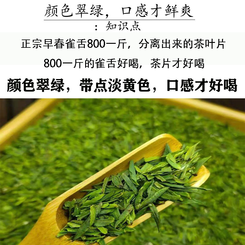 2024年新茶雀舌茶片明前特级绿茶龙井碎茶叶蒙顶山茶峨眉山500g - 图2