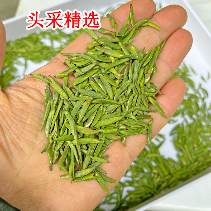 2025年新茶四川峨眉山明前雀舌嫩春茶蒲江头采高雀舌高档绿茶500g - 图1