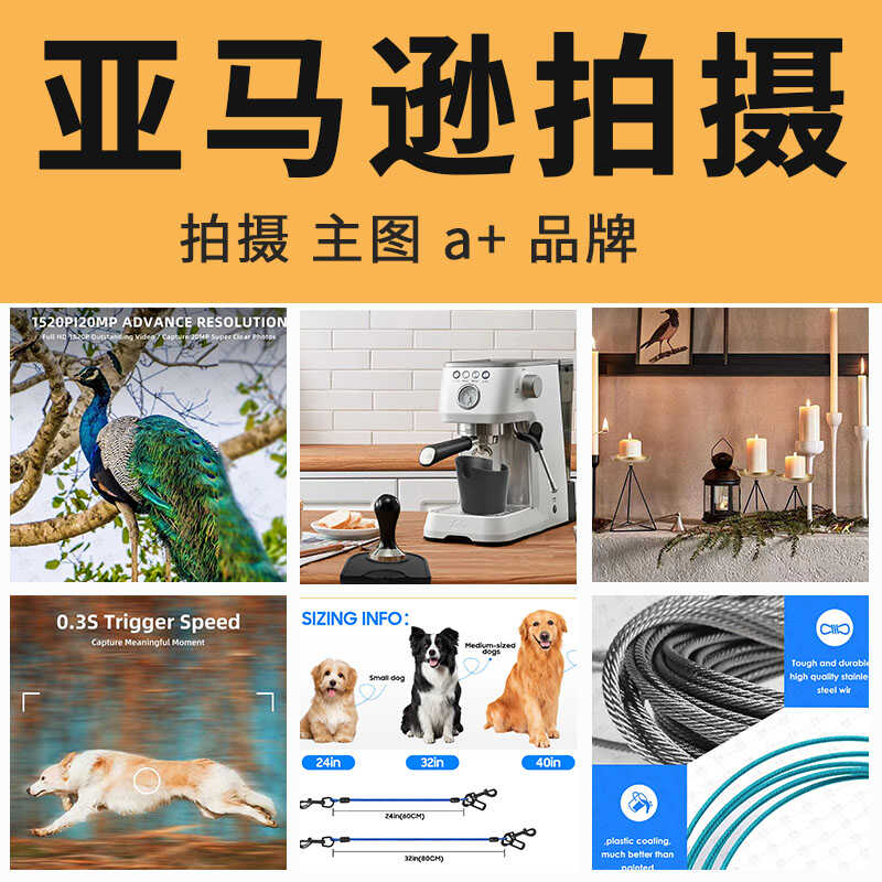 图5