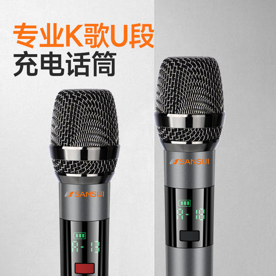 Machine tout-en-un audio karaoké extérieur Shanshui avec écran