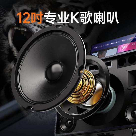 Machine tout-en-un audio karaoké extérieur Shanshui avec écran