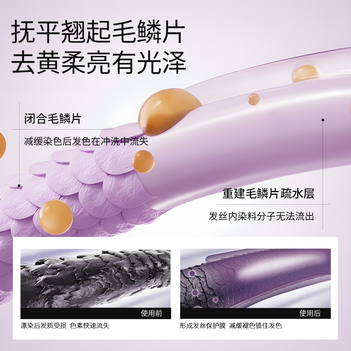 【固色护色】Roye若也固色去黄洗发水慕斯护色非补色锁色洗头水