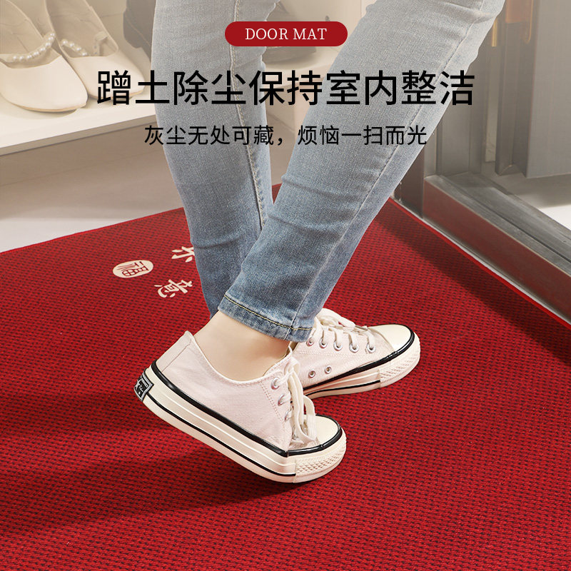 入户门地垫进门大门口脚垫2025新款玄关门垫室内红色喜庆入门地毯,淘宝优惠券,粉丝福利购,淘宝优惠卷