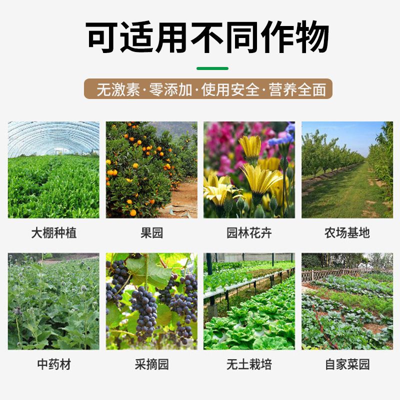 大量元素水溶肥料平衡型高氮肥磷肥钾肥蔬菜果树膨果专用冲施肥料 - 图1