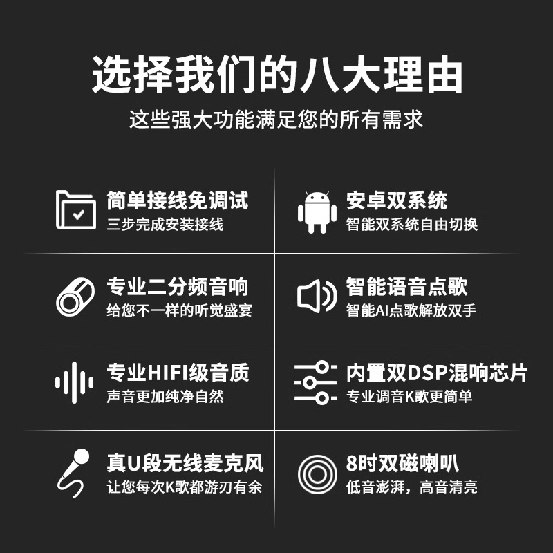 SHIYI karaoke home audio set