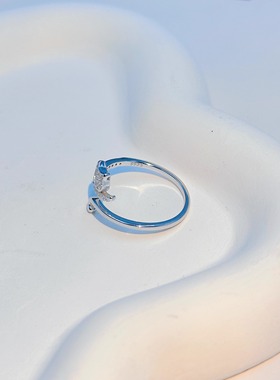 通体s925纯银戒指女小众设计感