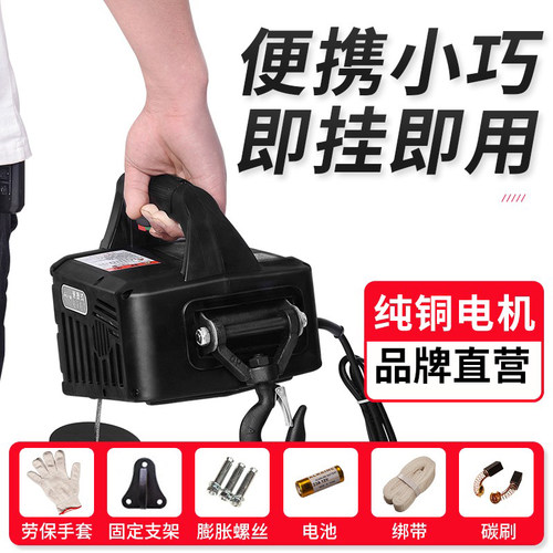 微型电动葫芦220v家用小吊机便携式电葫芦小型升降提升机空调吊机 - 图0