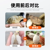 Шенгью Шаг Остановка Shengyu Treasure Ruding Куриная утка Граф Голубь Голубь Крайка Ануса Сверху Пеход