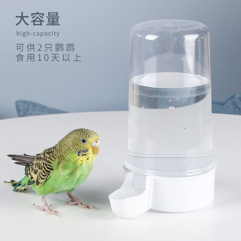 鸟类饮水器自动下水鸟笼水壶鸟喝水用具配件鸟饮水壶八哥鹦鹉用品