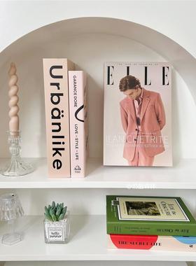 ins风仿真装饰假书北欧风民宿样板房客厅家居饰品杂志风拍照摆件