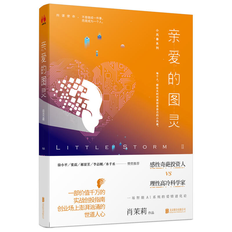 正版现货 小风暴Ⅱ亲爱的图灵 一部价值千万的实战创投指南创业场上汹涌澎湃的世道人心 中国现当代随笔文学小说书籍畅销书 - 图0