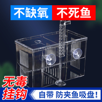 Fish Tank Hook Hatching Box Peacock Fish Breeding Box Juvenile Fish Rearing Fry Production House Tropical Fish Spawning Large Isolation Box