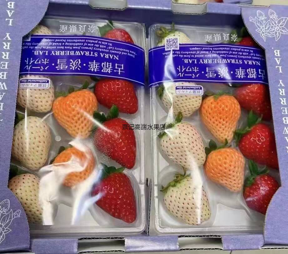 古都华三色草莓礼盒应季宝宝冬天第一颗白草莓送女朋友水果