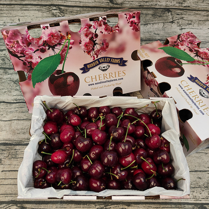 现货乐鲜果园空运进口澳洲车厘子特大果樱桃新鲜孕妇水果,淘宝优惠券,粉丝福利购,淘宝优惠卷