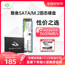 Seagate Hijtier Solid State Hard Disk 1tb Notebook 256g 256g 512g Computer sata3 Interface ssd m2