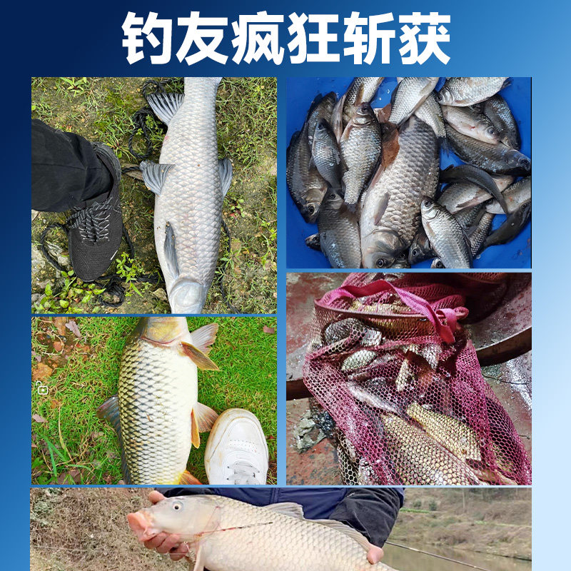 刘志强谷子大师全能窝方块饵料窝料野钓打窝鲫鱼鲤鱼鱼饵打窝料 - 图3