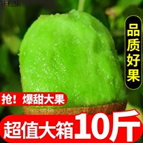 Shaanxi Chishifruit Fresh 10 catchio Exotic Fruits Green Hearts Great Fruits of Berry Peach Pregnant Fruits SEASON A WHOLE BOX OF FRUITS.