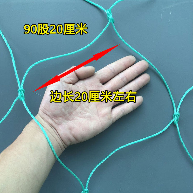 植物百香果爬藤网攀爬网瓜蒌葡萄丝瓜吊瓜豆角网黄瓜种植网搭架网