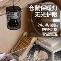 Hamster Warm Light Honey Bag WARM LIGHT WARM LIGHT WARM LIGHT PET WINTER CONSTANT TEMPERATURE HEATING LIGHT SQUIRREL CONTROL WARM WARMER