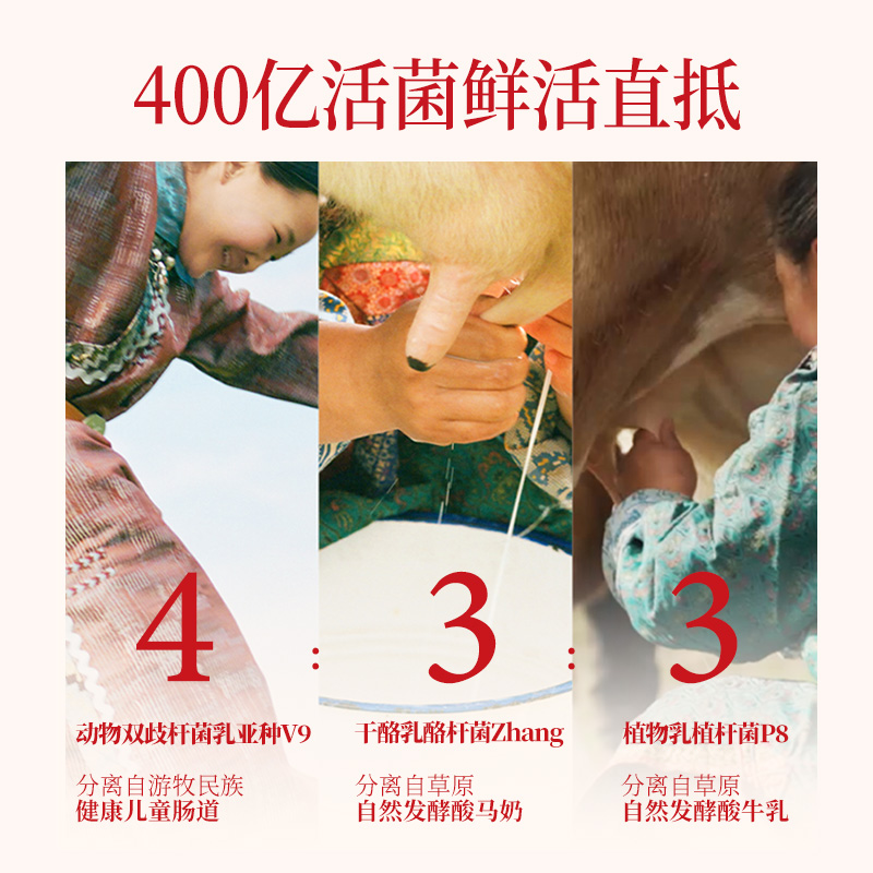 【新升级】奇美研小红袋复合益生菌肠胃道男女性调大人高活冻干粉