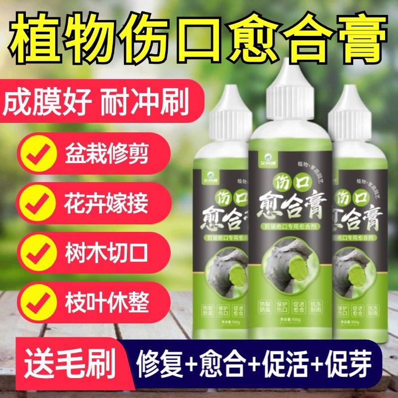 树木伤口愈合膏涂抹剂园艺树木果树盆景嫁接切口修复涂抹膏,淘宝优惠券,粉丝福利购,淘宝优惠卷