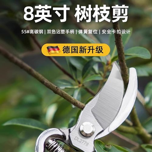 德国品质剪树枝专用剪刀园艺修枝剪园林果树粗枝修花省力SK5剪子 - 图1