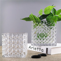 Creative Thickening Square Glass Vase Hydroponic Green Lori Dots Transparent Glass Small Beads Point Square Cylinder Countertop Vase