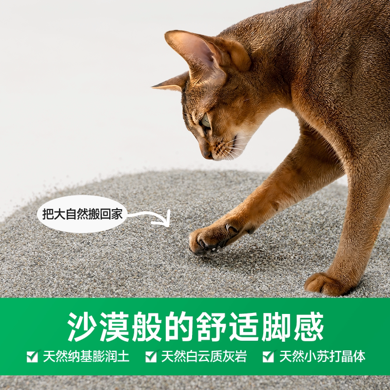 图 5