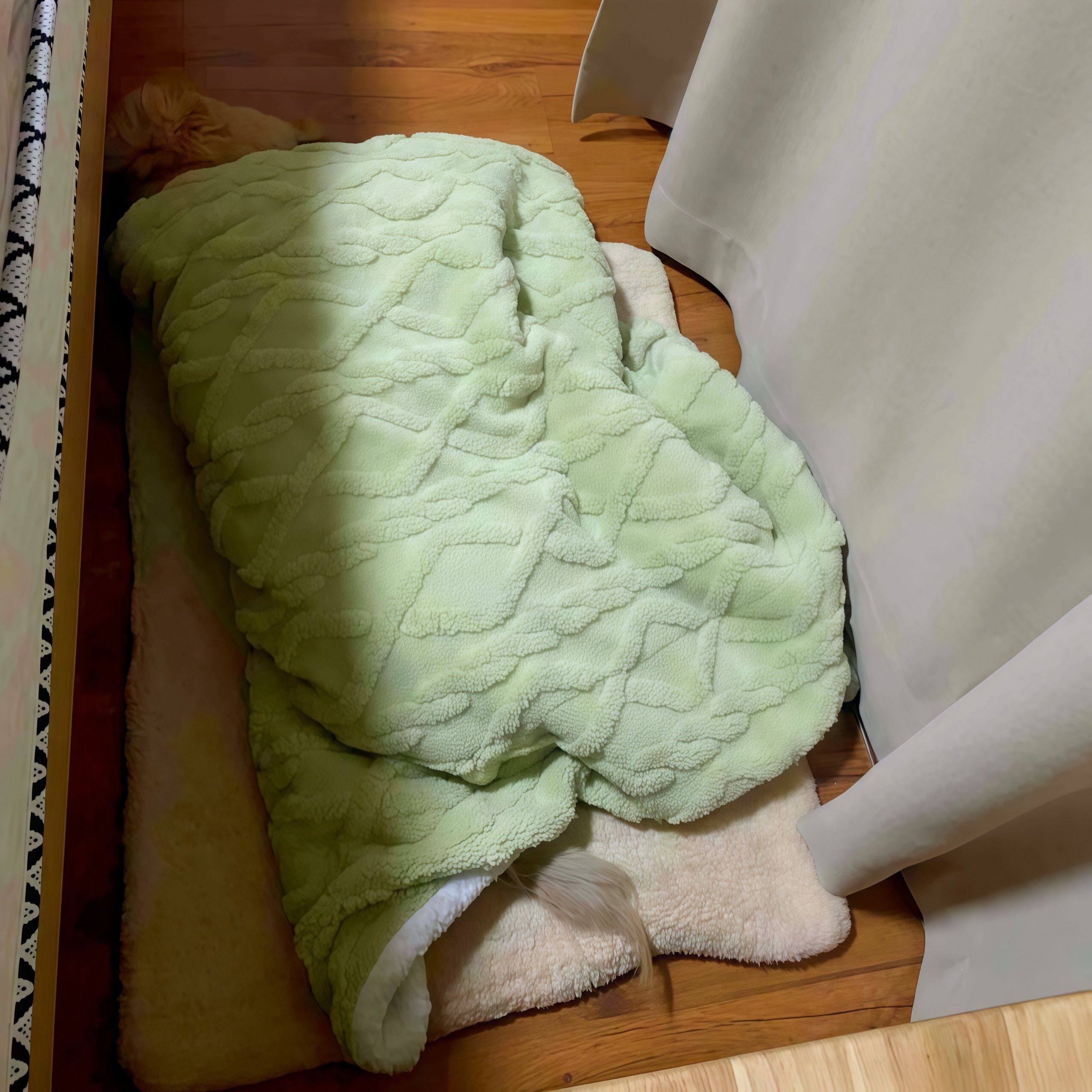 猫咪被子睡垫猫窝猫狗垫子加绒加厚保暖家居毯宠物毛毯秋冬保暖,淘宝优惠券,粉丝福利购,淘宝优惠卷