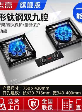 燃气灶猛火双灶煤气灶天然气灶液化气大火台式嵌入式JZT-BZ