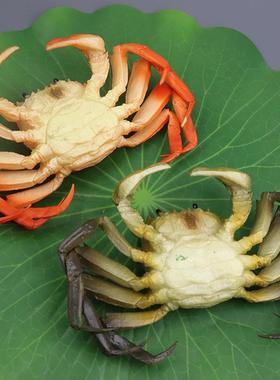 仿真螃蟹模型梭子蟹玩具寄居蟹