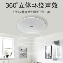 German hammam Carton sound suction ceiling sound ceiling embedded in sound box shop bass wireless Bluetooth sound horn