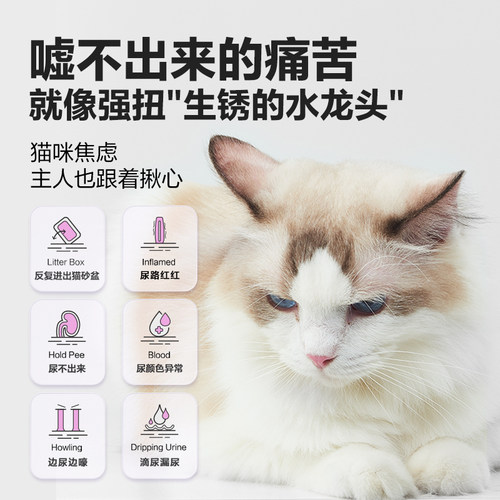 卫仕猫咪泌尿通猫泌尿咪尿通猫尿通尿路道通畅排尿泌尿片 - 图0