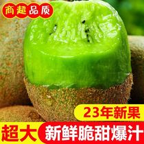 Zhengzong Xu Xiangkiwi Shaanxi Green Heart Walnut Chic Exotic Fruits Fresh Mud Monkey Peach season Pregnant Women Fruits