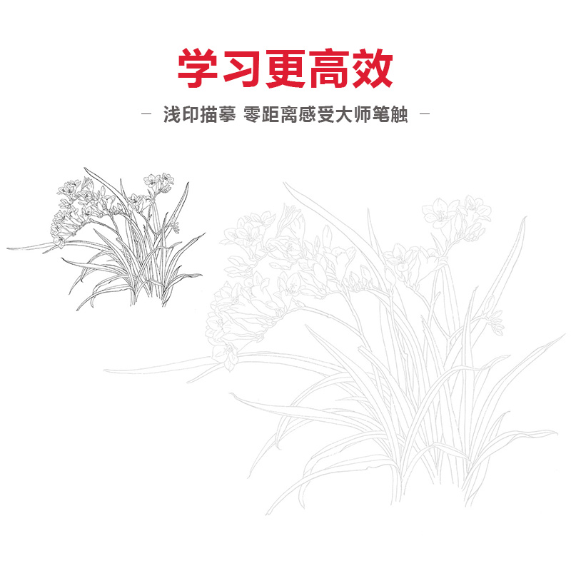 沐尚正版国画白描描摹本4本合集花卉植物人物山水禽鸟动物工笔画套装零基础入门篇临摹底稿手绘画美术画册写意中国画教材送赠品-图2