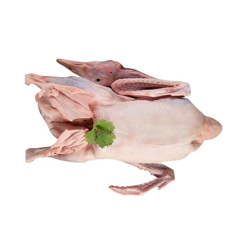 非鹅整只10斤非大鹅新鲜鹅肉大白鹅超大散养非大鹅老鹅雁鹅瘦肉,淘宝优惠券,粉丝福利购,淘宝优惠卷