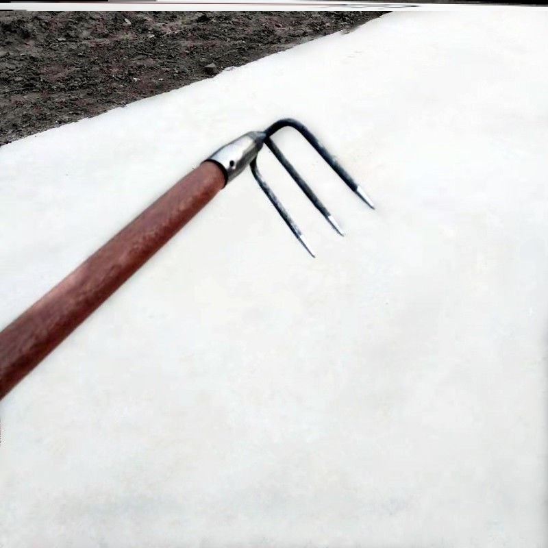 捡菌子工具二齿三齿四齿镐菜园松土翻地搂草赶海拾贝壳拾花生农业,淘宝优惠券,粉丝福利购,淘宝优惠卷