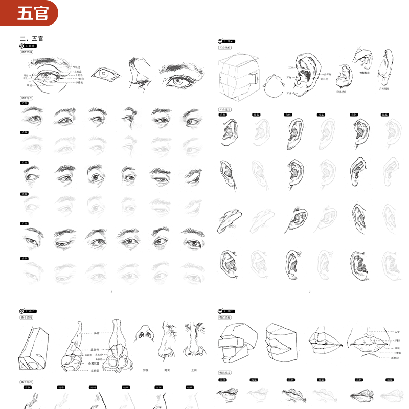 入门人物速写描摹本励尚文化人物临摹人物速写临摹本超级速写描摹本局部基础篇强化提升篇描摹本教程绘画素描书自学零基础书籍,淘宝优惠券,粉丝福利购,淘宝优惠卷