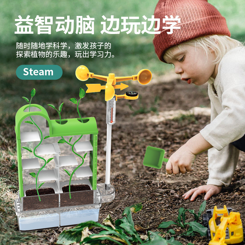 幼儿园小学生自然生态探索实验材料手工种植观察植物科学diy玩具-图1