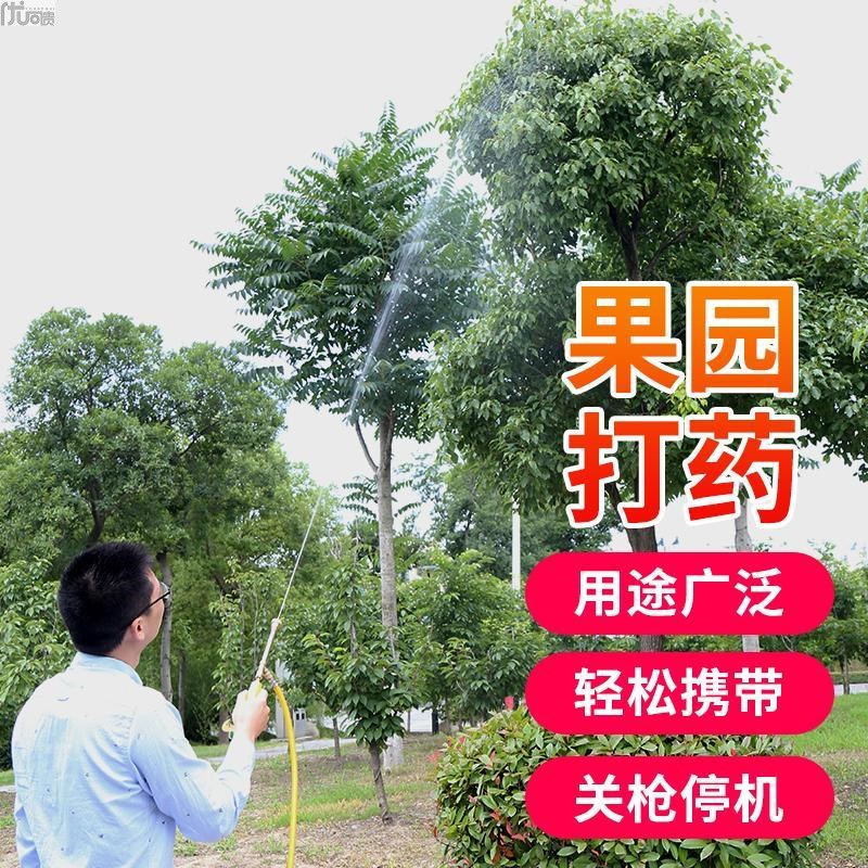 【高压隔膜泵】喷雾器电动农用手提式打药机弥雾机洗车机抽水机机 - 图1