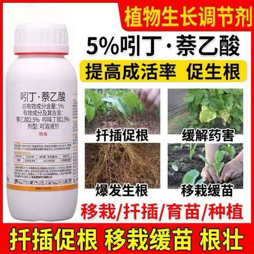 吲丁萘乙酸生根液植物生长调节剂扦插树木移栽生根剂粉正品生根水 - 图3