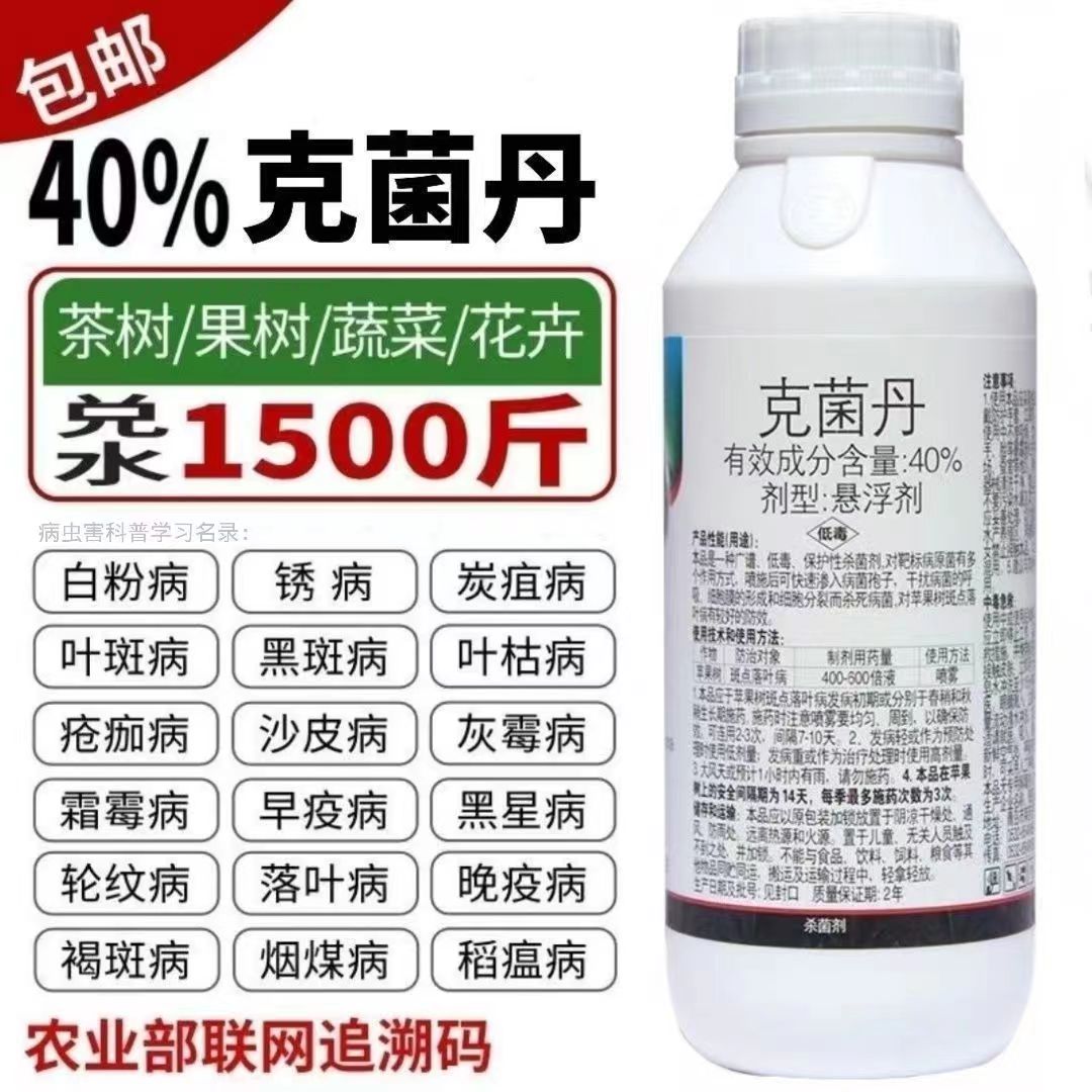 40%克菌丹杀菌剂炭疽病灰霉病白粉病叶斑腐烂病锈病果树蔬菜农药 - 图2