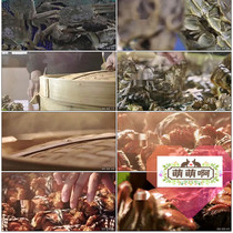 Hairy Crab Yangcheng Lake Crab Delicious Catch Crab Clear Steamed Crab video material