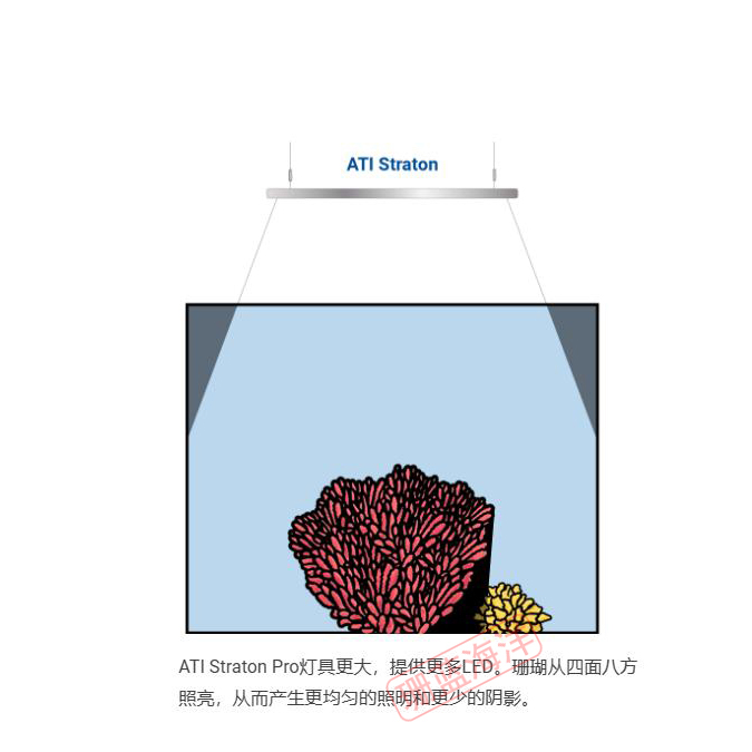 ATI珊瑚灯 Straton Pro二代 2023新款主缸灯珊瑚灯海水鱼缸全谱-图1