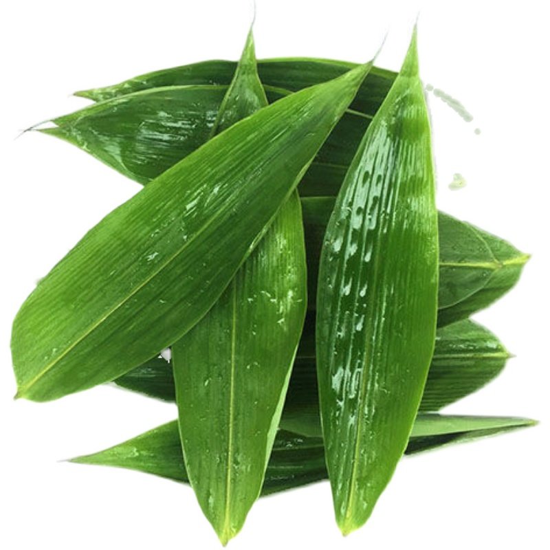 粽子叶新鲜大号棕叶竹叶包粽子的叶子干粽叶免邮大特宽端午非芦苇_虎窝淘