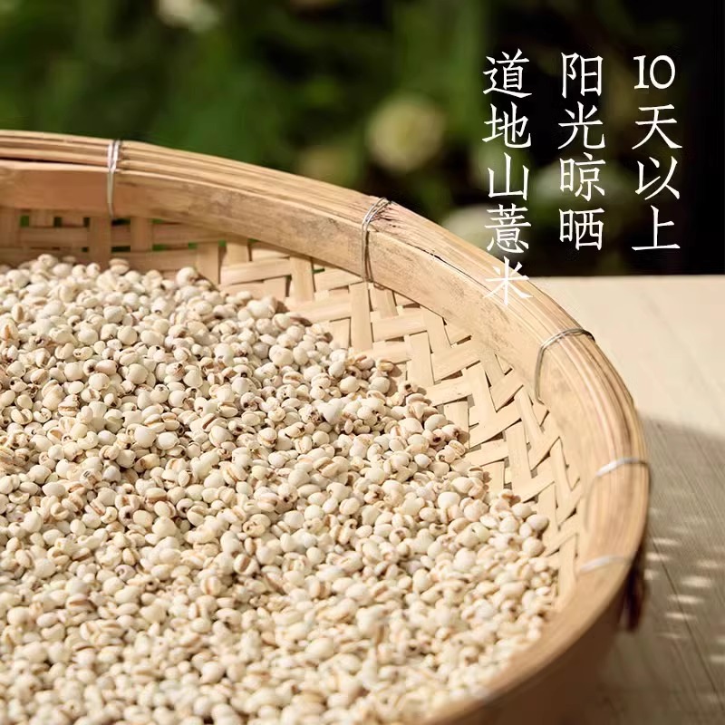 好望水薏米水500ml*15瓶柠檬薏米水茉莉桂圆0脂0蔗糖运动饮料整箱