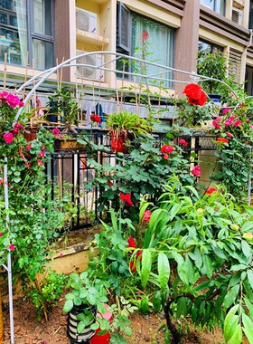 铁艺拱门花架爬藤架花园阳台植物支架铁线莲户外庭院月季葡萄蔷薇