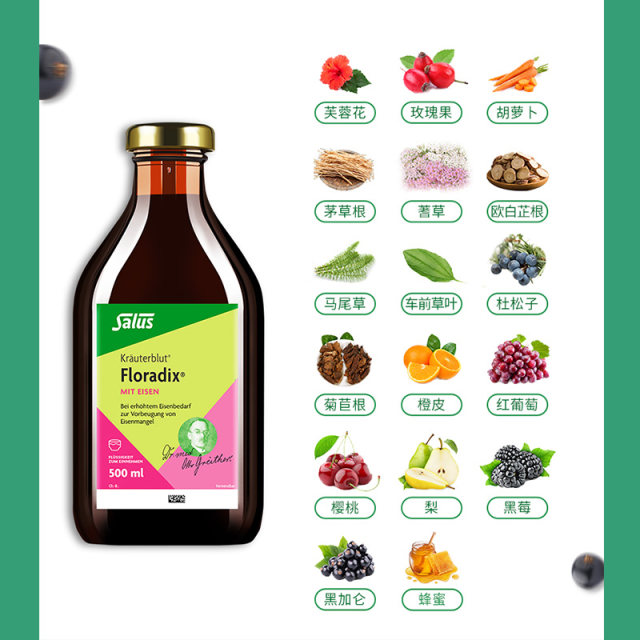 Floradix ເຍຍລະມັນສະບັບສີຂຽວຂອງທາດເຫຼັກອາຫານໂພຊະນາການ